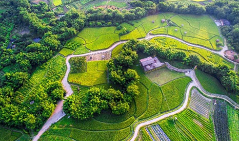從化農(nóng)耕田緣休閑農(nóng)業(yè)、旅游信息化建設(shè)項(xiàng)目